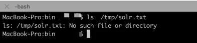 solr_txt